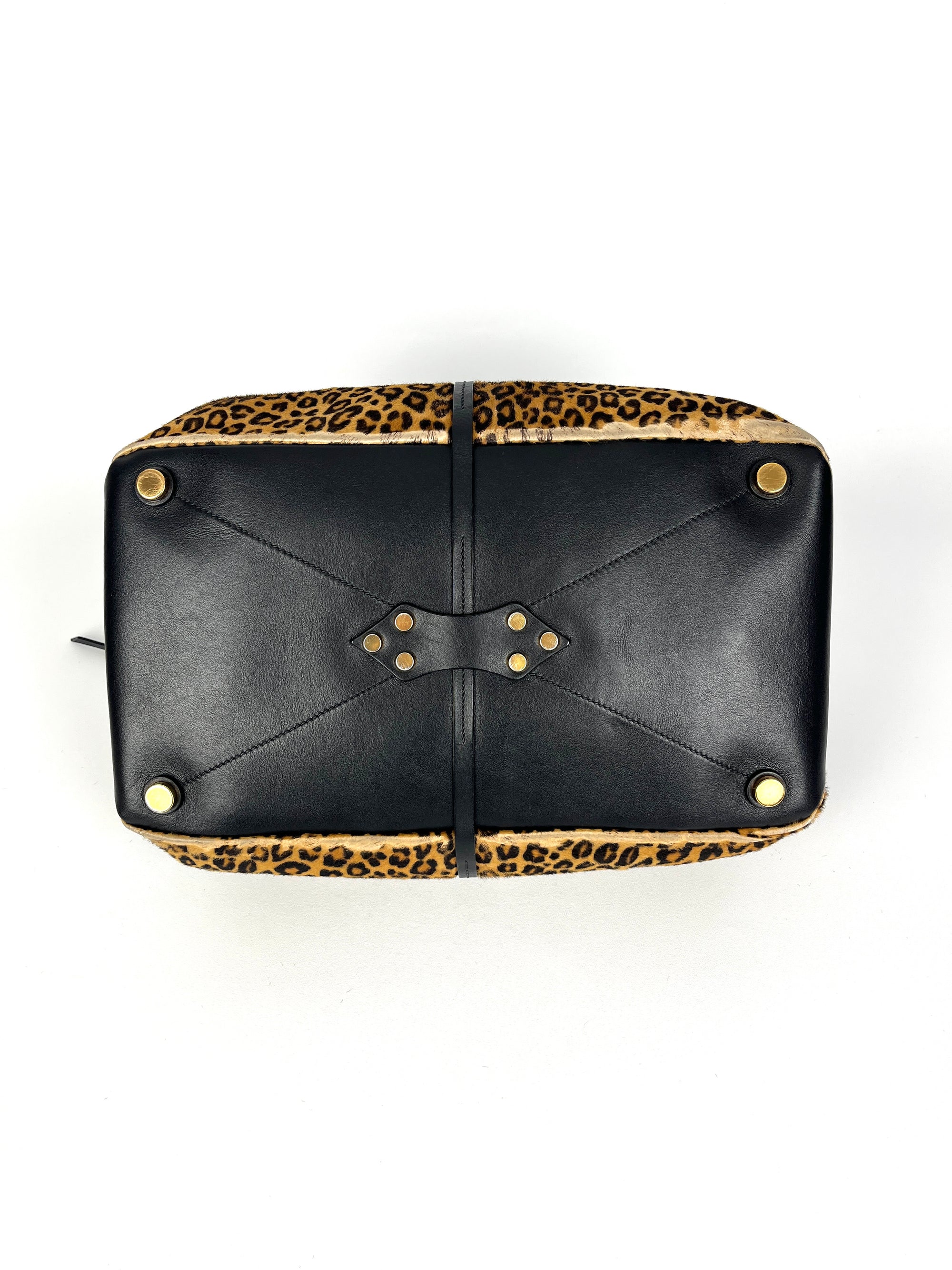 Miu Miu Leopard Print Bag